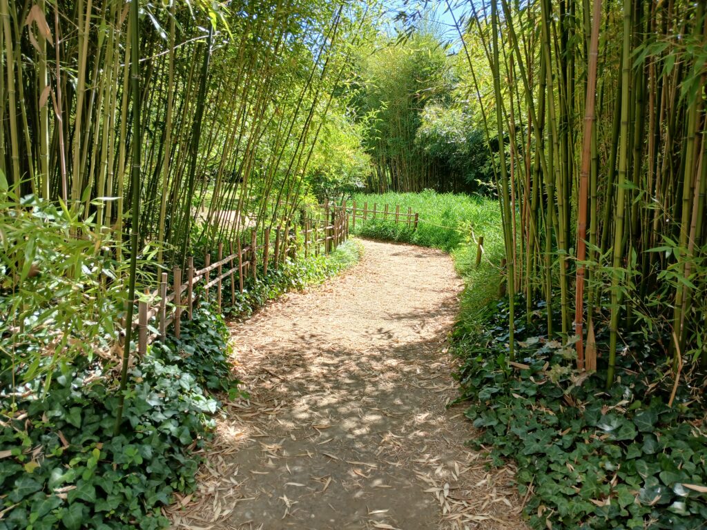 Emmanuelle GARRIGUES, psychologue et formatrice